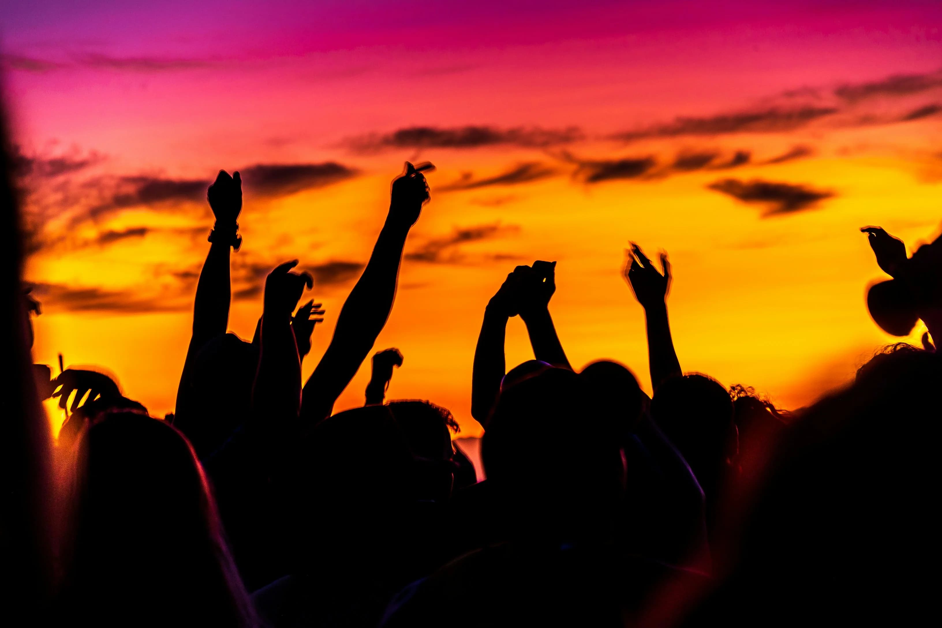 Concert crowd